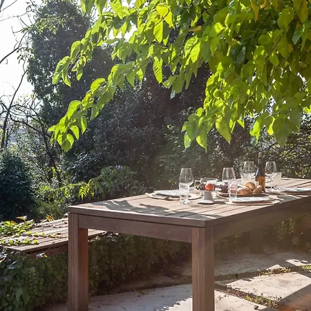 Peaceful Among The Vines Dom wakacyjny *