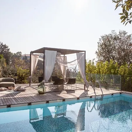 Peaceful Among The Vines * Vipolze