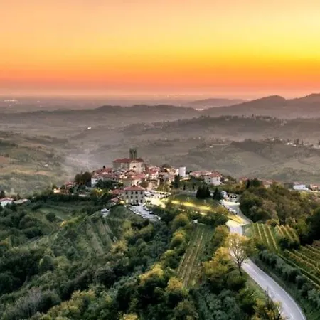 Peaceful Among The Vines *