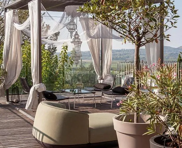 Peaceful Among The Vines *