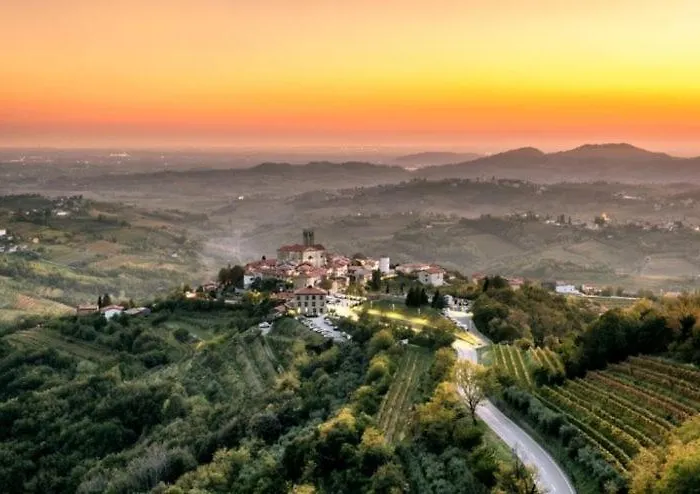 Peaceful Among The Vines *